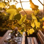 Weinberg Klöch