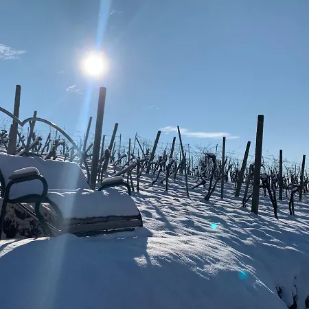 Appartamento Weinberg Klöch