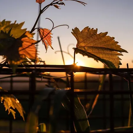 Appartamento Weinberg