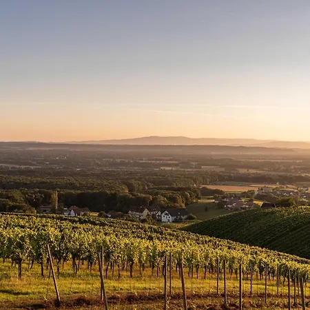 Weinberg Appartamento *