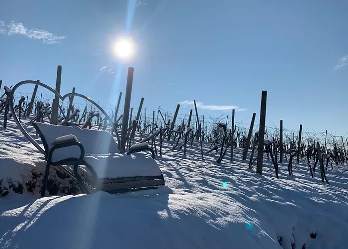 公寓 Weinberg Klöch