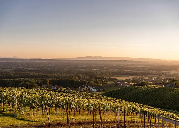 Weinberg Apartament *